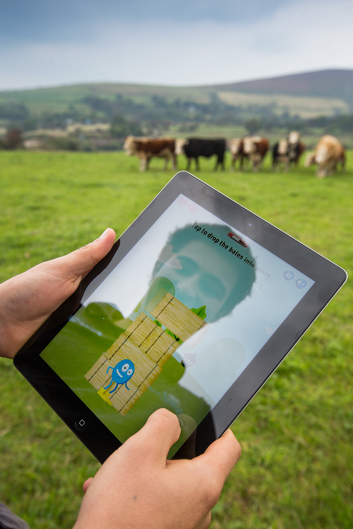 Editorial Photography of a dairy farmer playing an iPad game in a field.